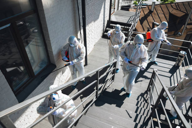 Best Basement Mold Removal  in Brooklyn Center, MN