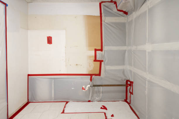 Best Real Estate Mold Inspection  in Brooklyn Center, MN
